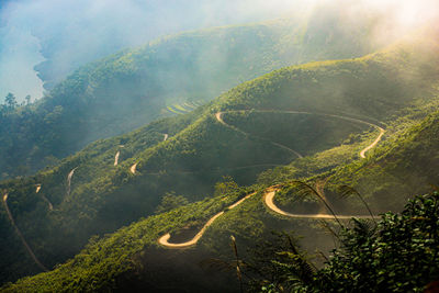 Mountain pass road