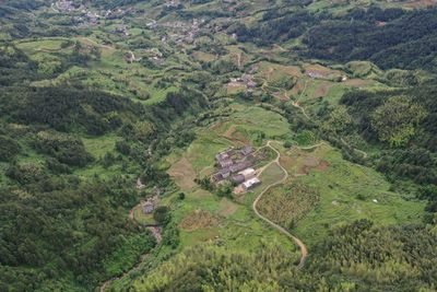 High angle view of agricultural field