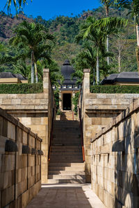 Staircase leading towards palm trees