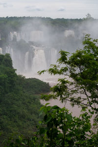 Scenic view of waterfall in forest against sky