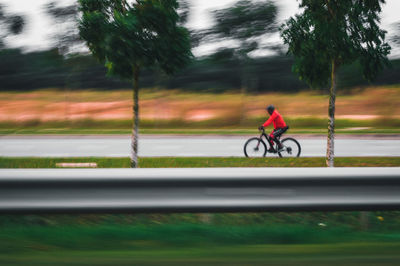 Man riding bicycle on road