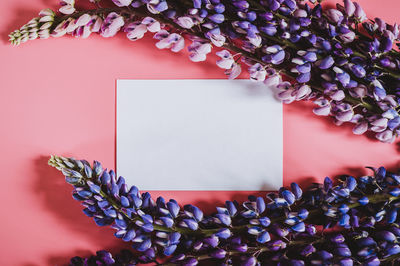 High angle view of purple flowering plant on table