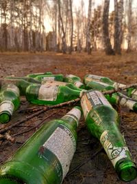 Close-up of green bottles on field in forest