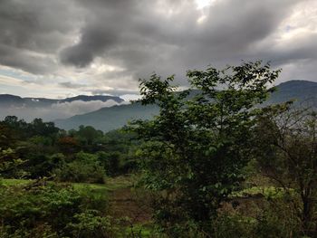 Scenic view of trees and mountains against sky