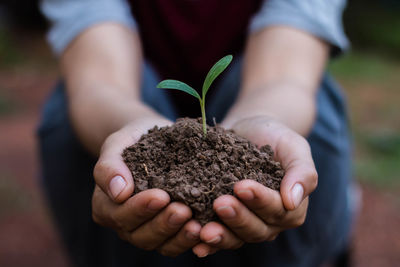 Midsection of woman holding seedling while crouching on field