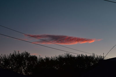 Low angle view of silhouette trees against sky during sunset