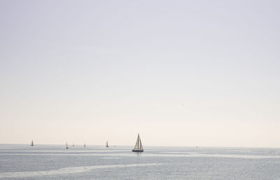 Sailboats sailing in sea against clear sky