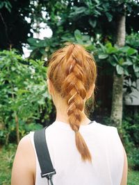 Rear view of woman with braided hair