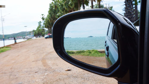 Reflection of trees on side-view mirror