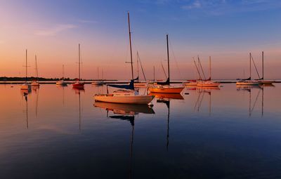 Sailboats moored in marina at sunset