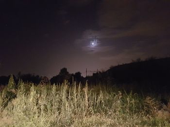 Scenic view of field against sky at night