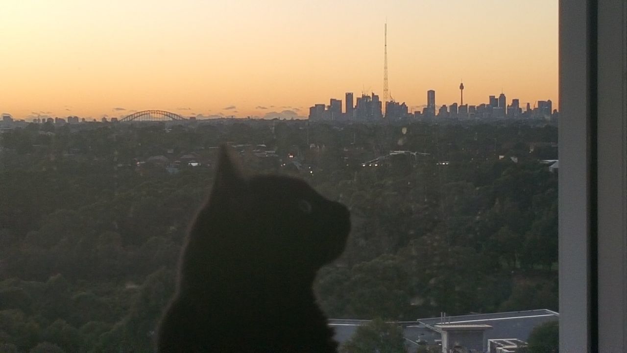 VIEW OF CITYSCAPE DURING SUNSET