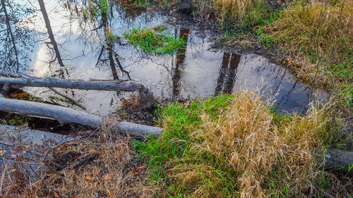 Scenic view of landscape