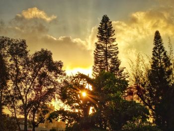 Low angle view of silhouette trees against sky during sunset