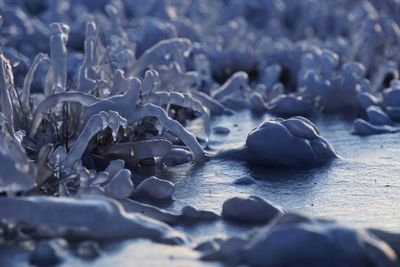 Close-up of water