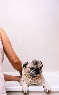 Midsection of woman with dog on beach