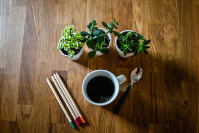 Succulents with a cup of coffee a spoon and pencils