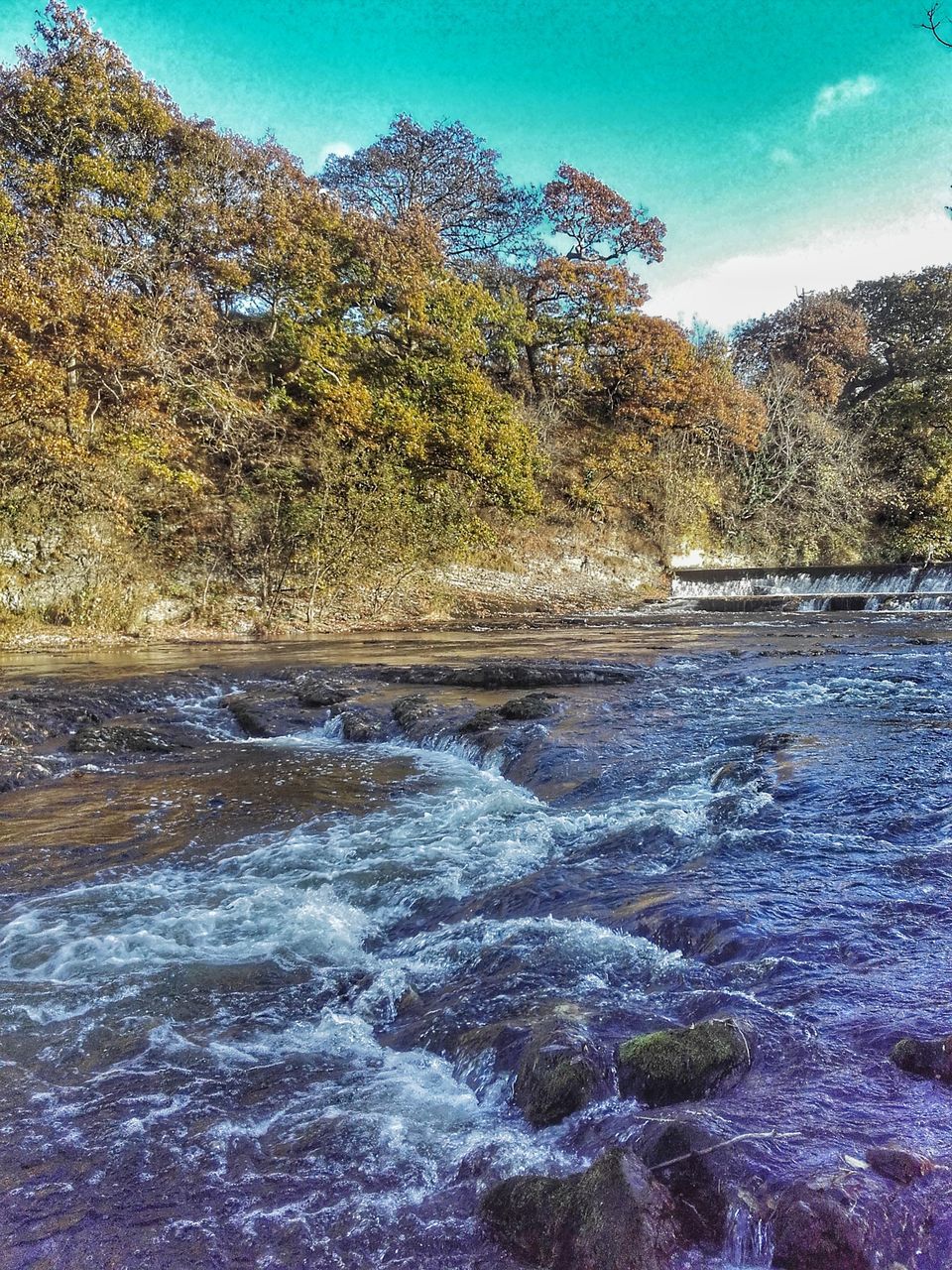 water, no people, nature, splashing, outdoors, day, sky, tree, beauty in nature, close-up