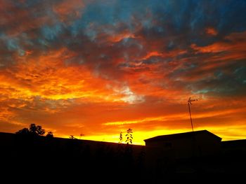 Low angle view of silhouette trees against orange sky