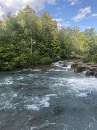 Scenic view of river amidst trees against sky