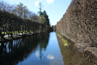 Reflection of trees in water against sky