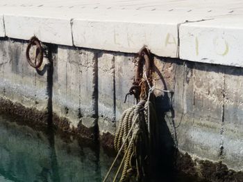 Close-up of horse hanging by water