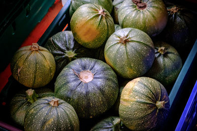 Full frame shot of squash