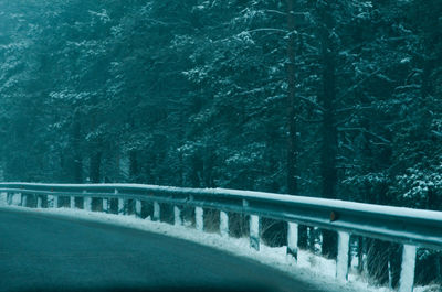 Bridge over road amidst trees in forest