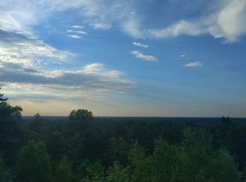 Scenic view of forest against sky