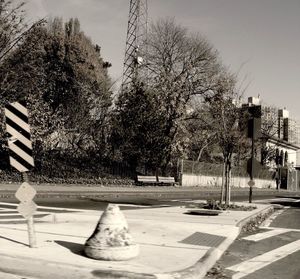 Trees in city