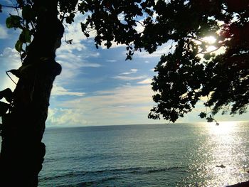 Tree by sea against sky during sunset