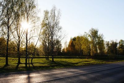 Trees on landscape against clear sky