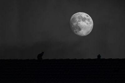 Low angle view of silhouette man against moon at night