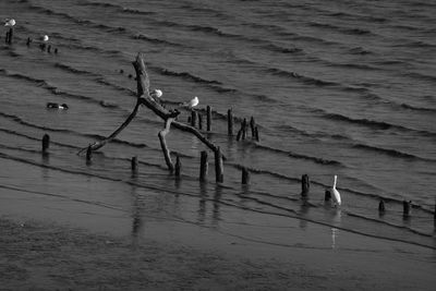 High angle view of people on beach