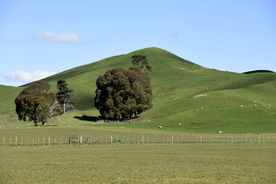 Scenic view of landscape against sky