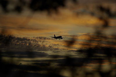 Silhouette bird flying in sky during sunset