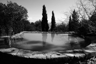 Reflection of trees in water