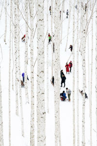 People on snowy field seen through tree trunk