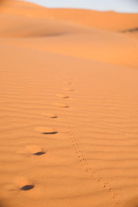 Scenic view of desert during sunset