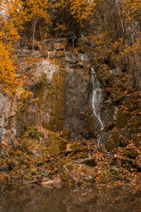 Stream flowing through rocks in forest