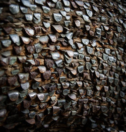 Full frame shot of logs