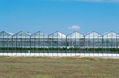 Scenic view of field against clear blue sky