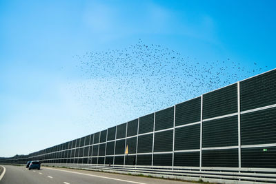 Low angle view of birds flying against blue sky