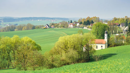 Panoramic view of trees and houses on field against sky