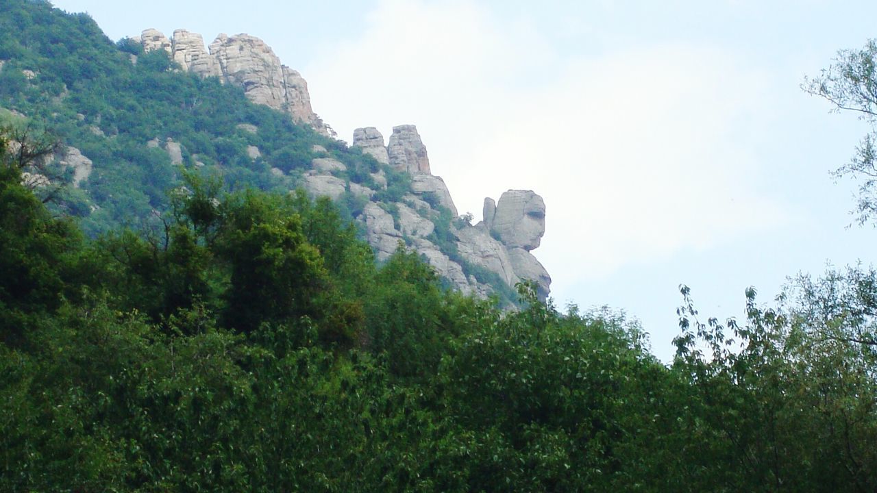 LOW ANGLE VIEW OF TREES ON ROCKY MOUNTAINS