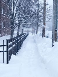 Snow covered trees in winter