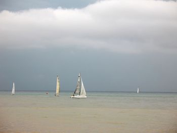 Boats sailing in sea