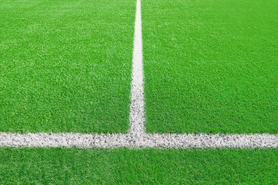 Green grass on sport field with white line