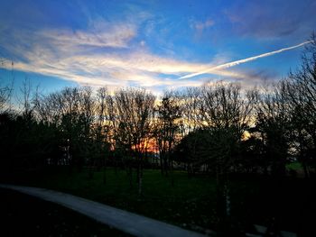 Close-up of trees against sky during sunset