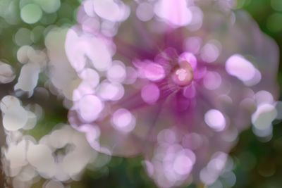 Close-up of defocused lights